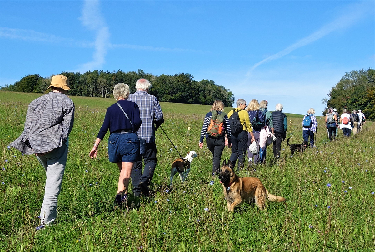East Dean walk with Chichester walkers