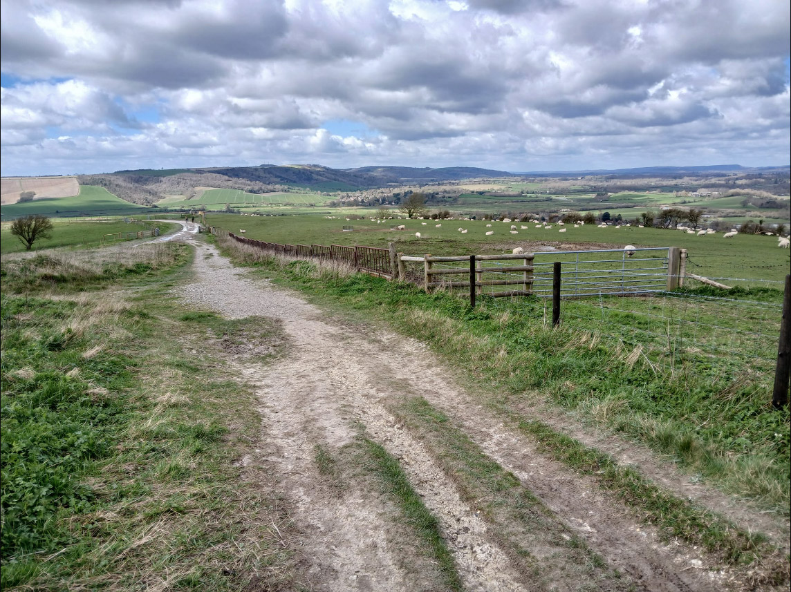 Amberley Down with Chichester Walkers.