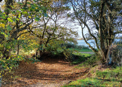 List of Walks 2024
