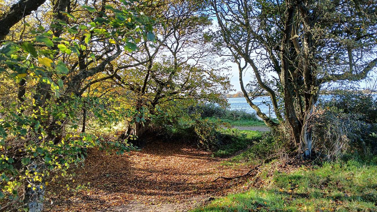 List of Walks 2024