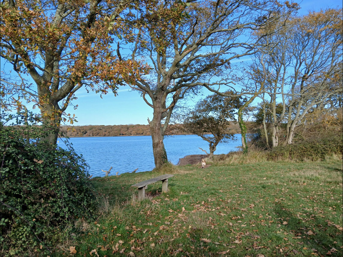Chichester Marina to Apuldram Church walk with Chichester Walkers