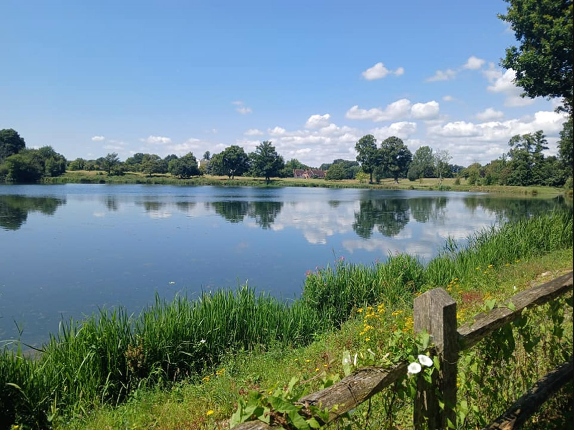 Duncton, walk with Chichester Walkers