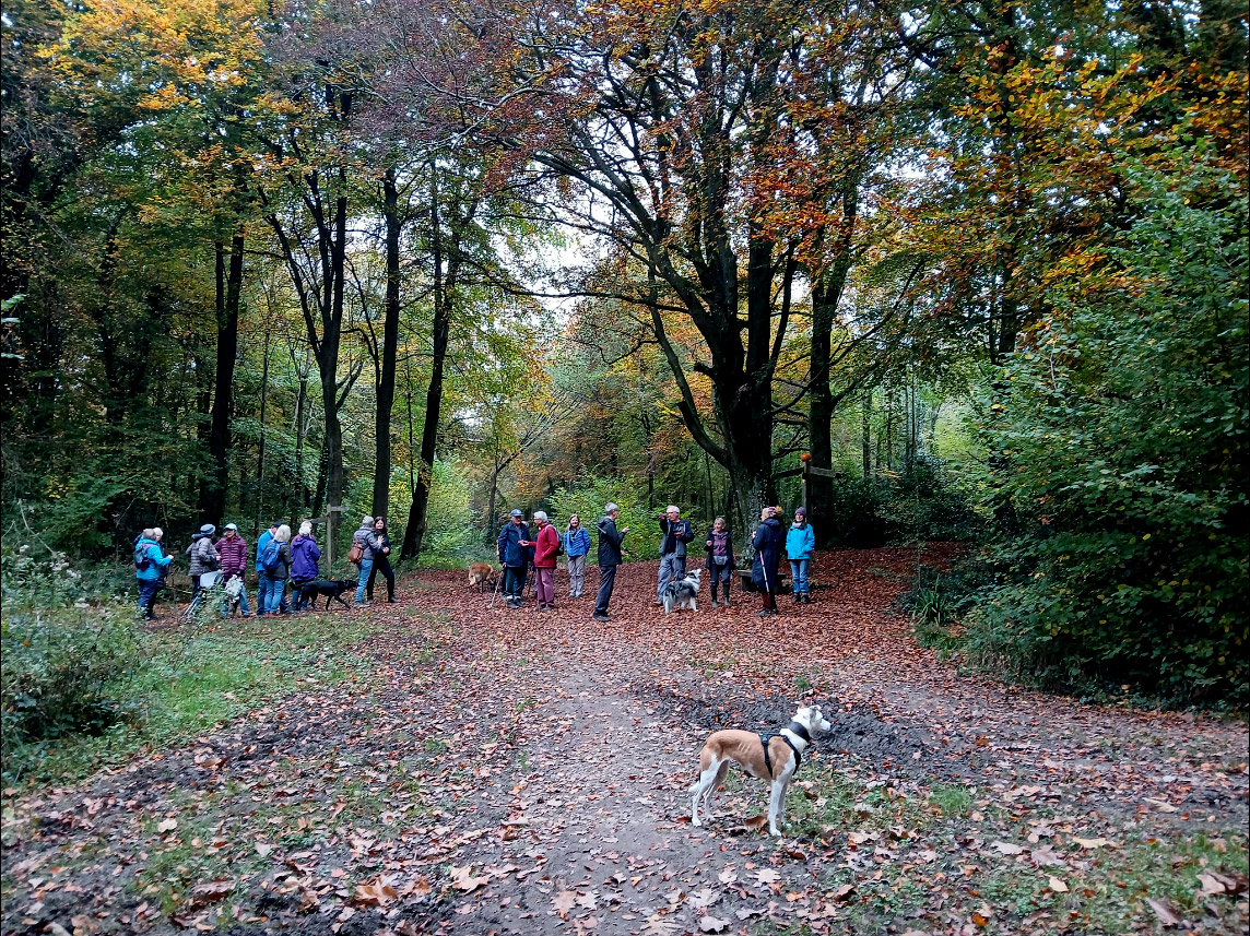 Eartham Woods walk with Chichester Walkers